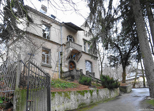 Portfolio Image